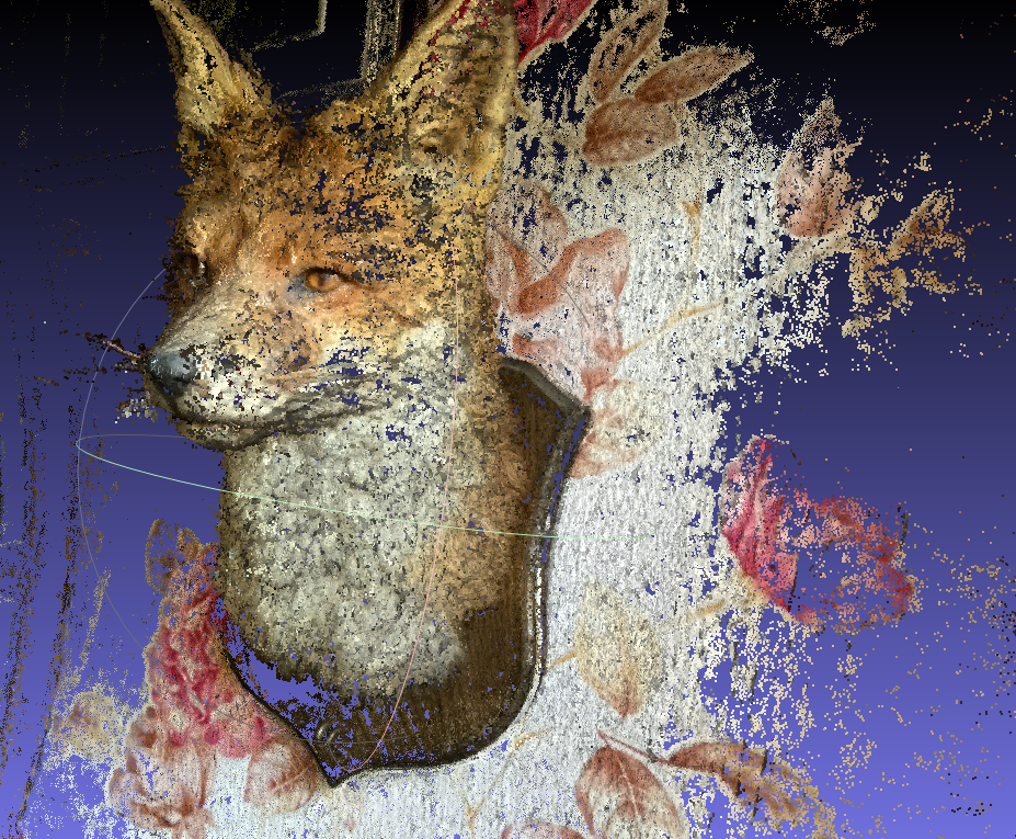 SfM fox